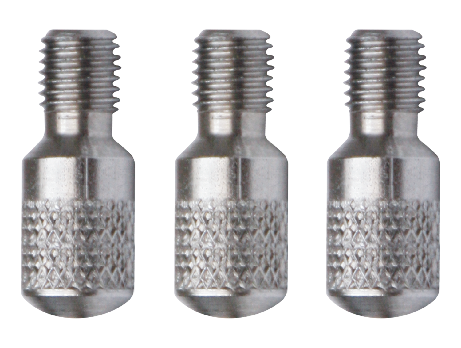 RVS Blinde Schroef RTG6 (3 stuks)