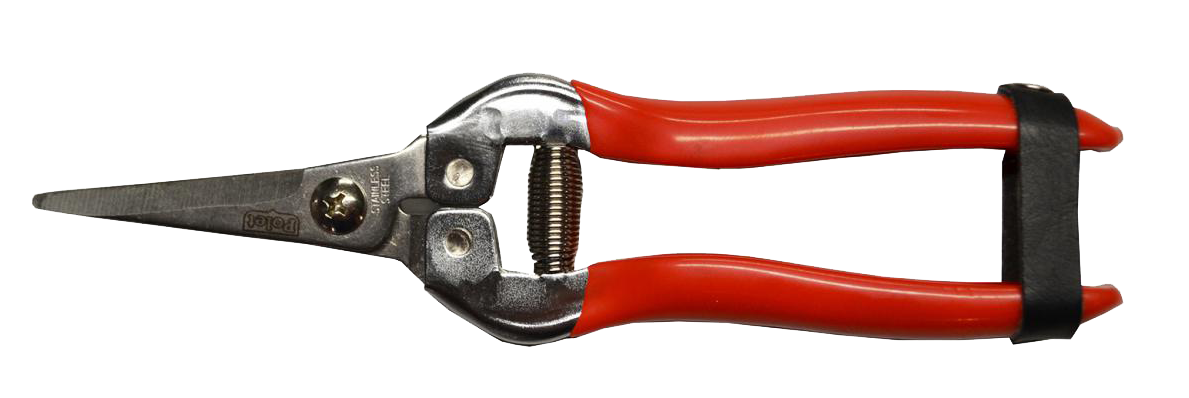 Fruitschaar/Bloemschikschaar 185mm