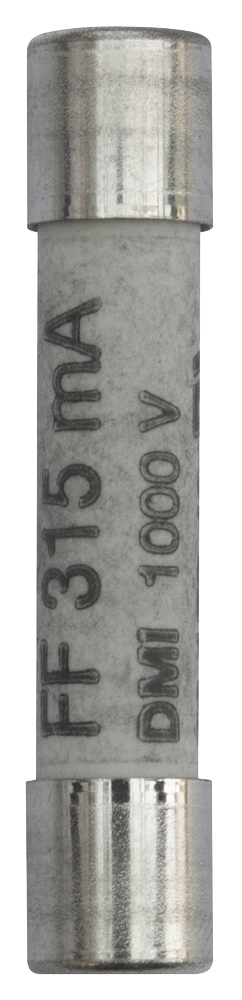 Zekering 315mA t.b.v. IT 100, 101 (1 stuks)